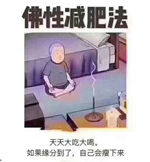 佛系明珠最新爆料图片大全,揭秘明星私下的佛系生活